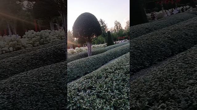 Парк Галицкого
