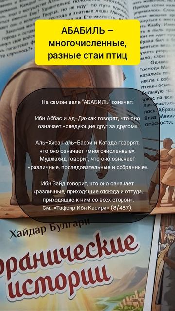 Неужели это птица АБАБИЛЬ?