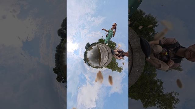 Рыбки в пруду у Родины - матери... Osmo 360