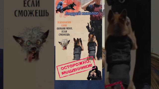 Работаем, земля стекловатой мошне.