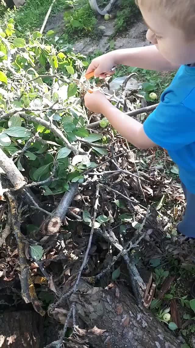 Ванечка на даче:помощь в саду.