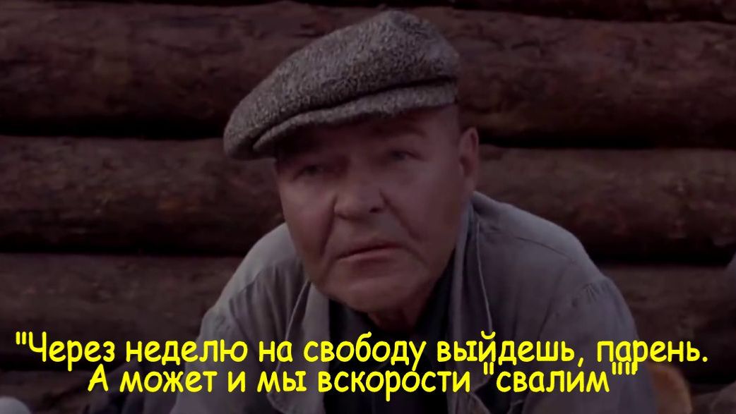 По весне расцветает тайга