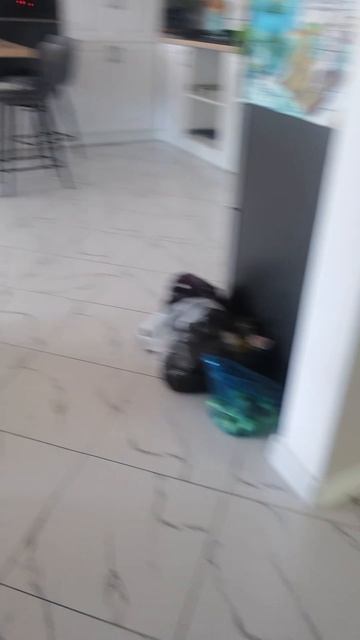 сирена головой существует