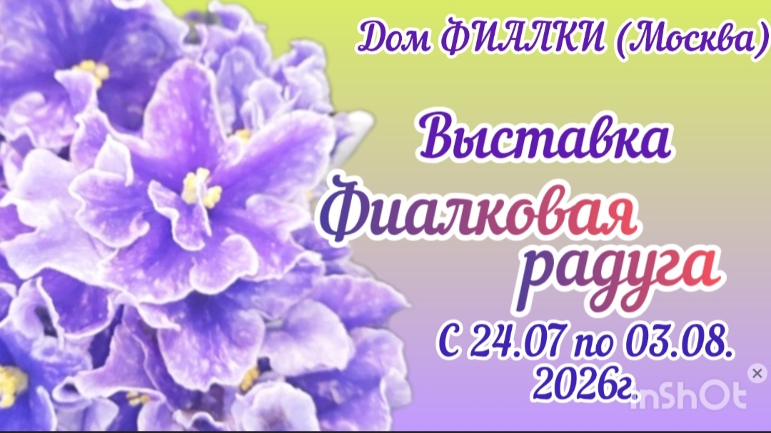 ФИАЛКИ - 2026. Выставка с 24.07 по 03.08.2026 
