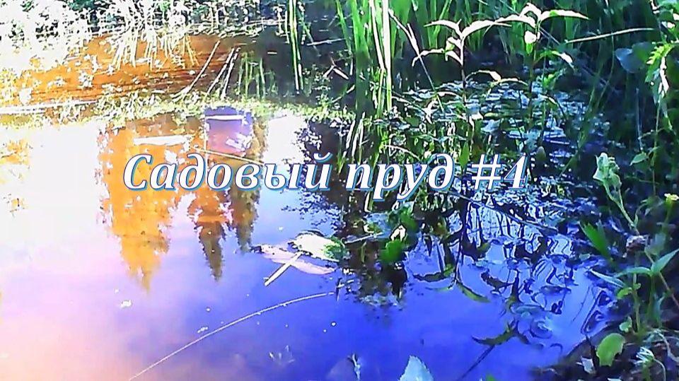 Садовый пруд #4 музыка релакс