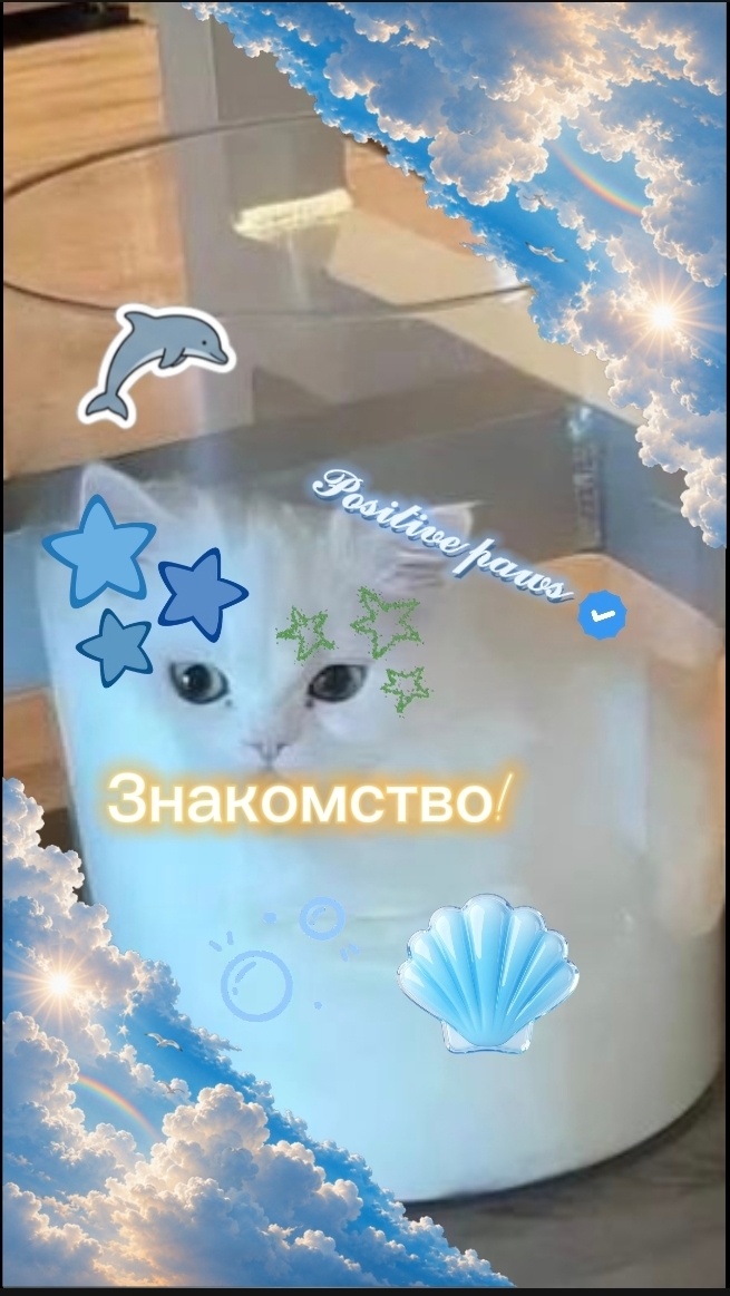 З̠н̠а̠к̠о̠м̠с̠т̠в̠о̠!!