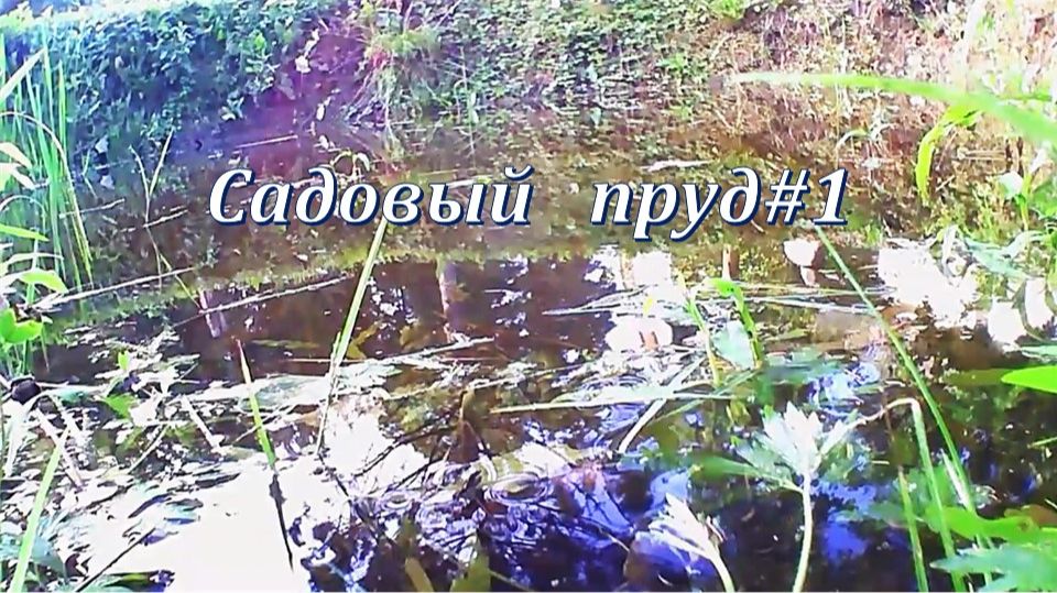 Садовый пруд #1 релакс музыка