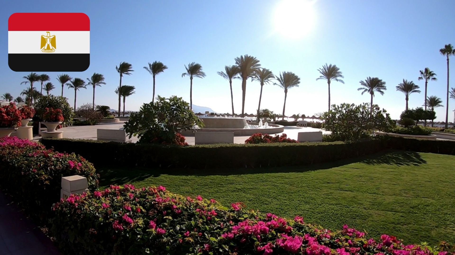 #67 Завтракаю. Гуляю по территории Baron Resort 5*. Обедаю. Египет. Шарм-Эш-Шейх. Декабрь 2025