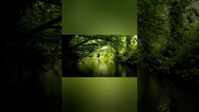 ВОЗВРАЩЕНИЕ В СТЕПАНЧИКОВО.mp4