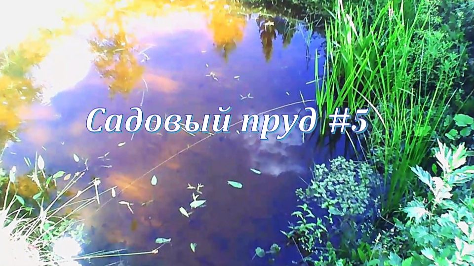 Садовый пруд #5 музыка релакс