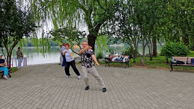 ТАЙЦЗИ-ЦЮАНЬ ЯН 24 ФОРМЫ В ПАРКЕ 