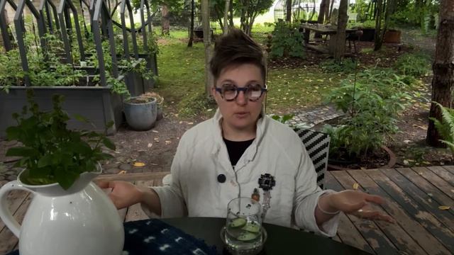 СЕРИАЛИТИ ИЗ ДУБНЫ. СЕРИЯ 15/1000. ЛЮБОВЬ И ГОЛУБИ! 🕊️ 😆