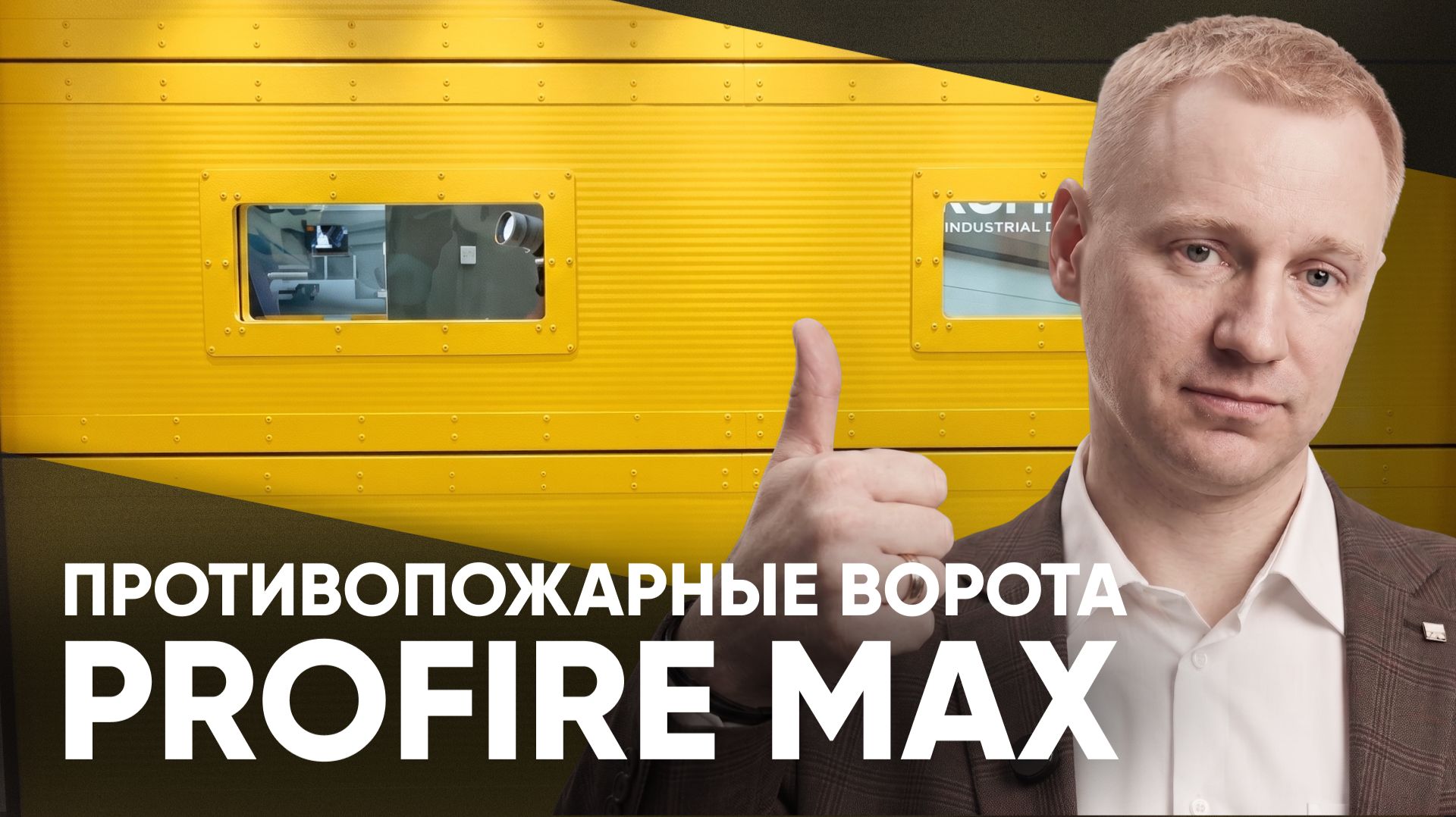 Противопожарные секционные ворота PROFIRE MAX | Внешний вид, принцип работы, характеристики