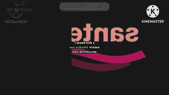 Santeri Logo Effects Mari Group