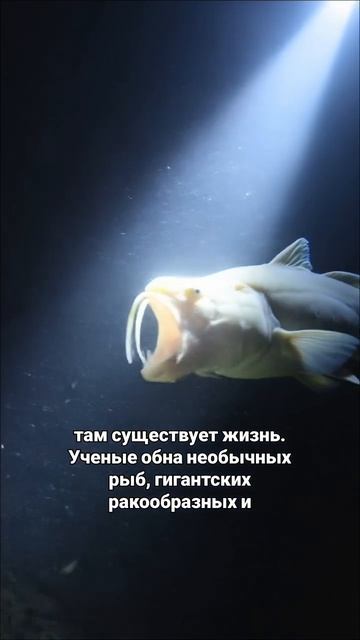 Что скрывает Мариинская впадина?