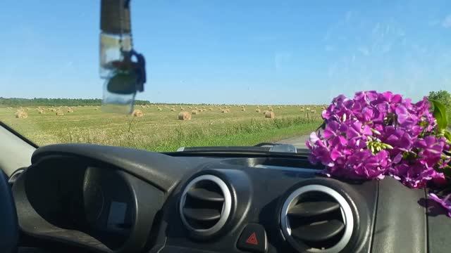 Я ПОШЛА... А ВЫ... СО МНОЙ? / СМОТРИТЕ во ВСЕ ГЛАЗА
