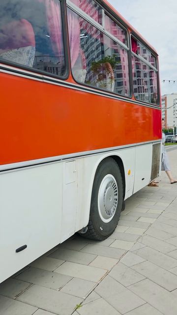 ЭtО Икарус 256 | #ТаКоЙоБзОр