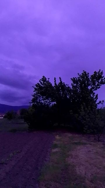 #view