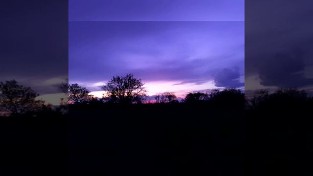 #view
