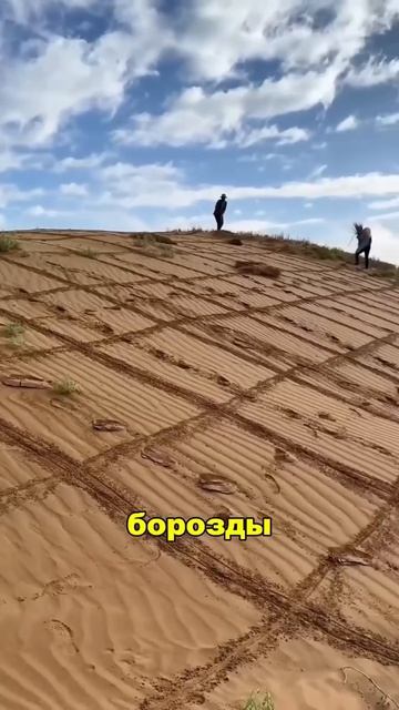 Что делает Китай в пустыне?