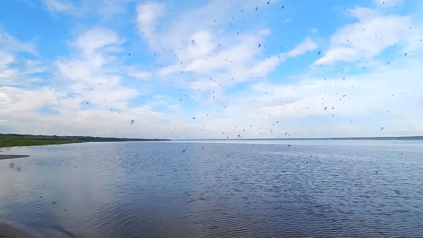 Выезд на рыбалку спиннингом.