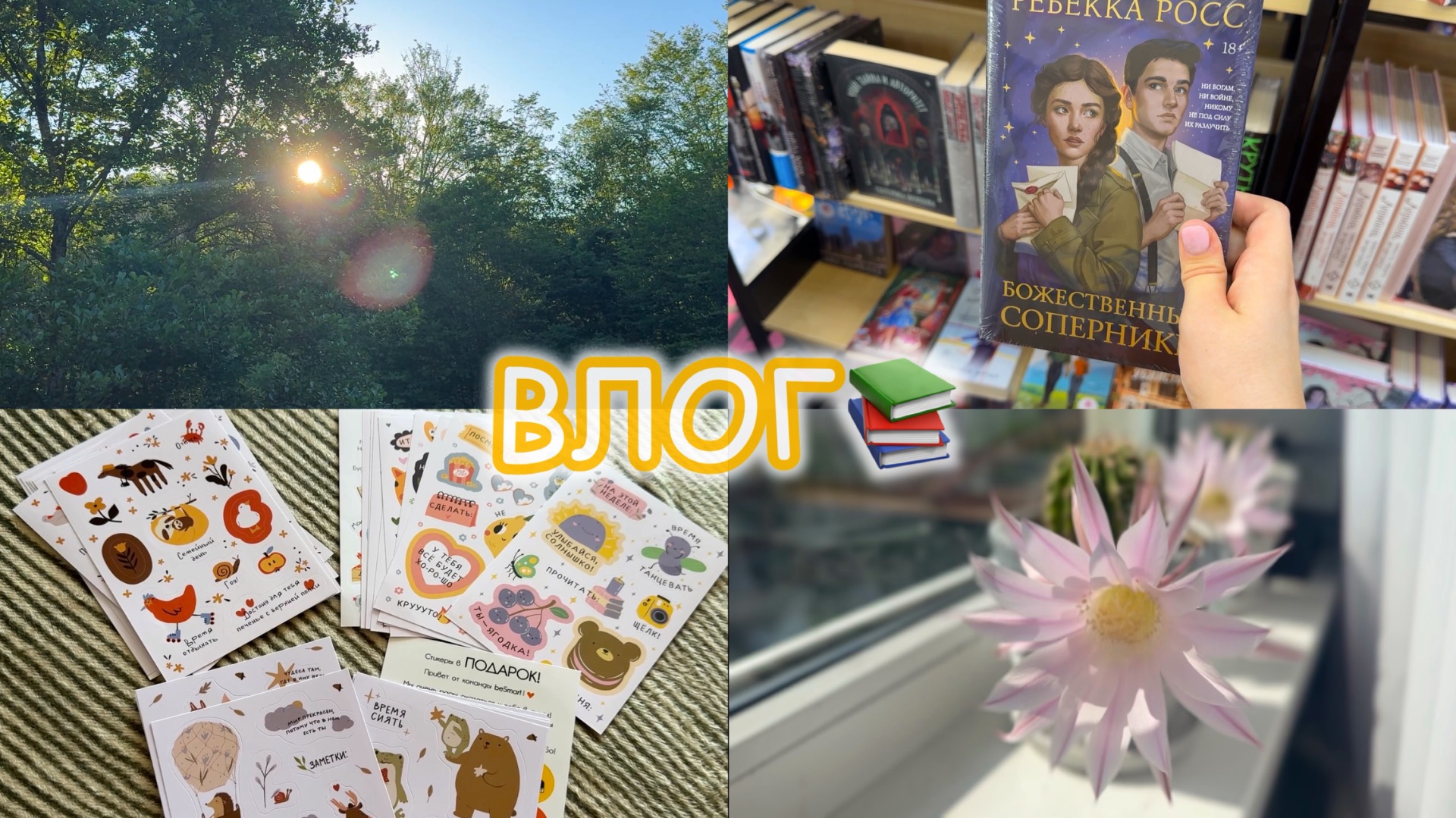 ВЛОГ:НОВАЯ КОЛЛЕКЦИЯ В МАГНИТ КОСМЕТИК||КНИГИ📚|ПОДАРОЧКИ ИЗ СПБ