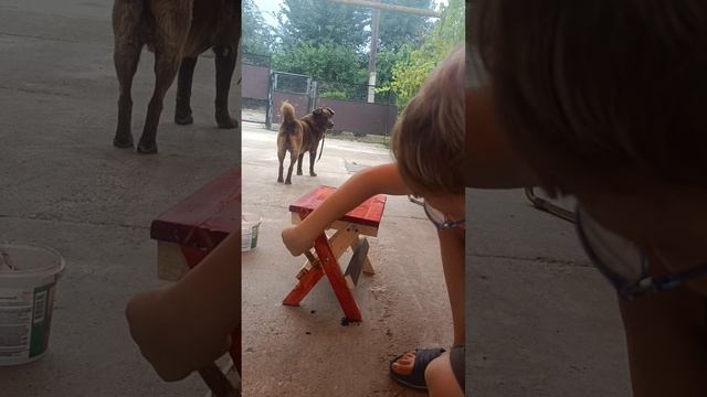 как красить скамейку