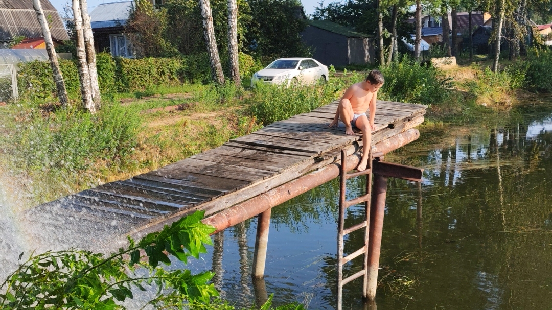 У пруда в знойный день.