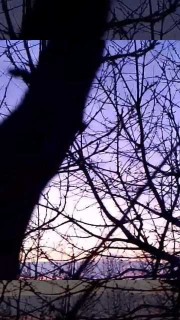 #nature