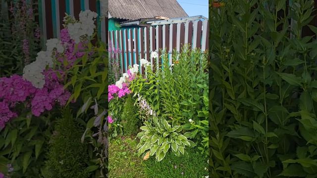 Жизнь заставила! Закапываю это в грядки для богатого урожая!Распаковка посылки из Китая