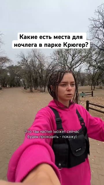 Кемпинг Letaba в сафари-парке Крюгер. Какие есть места для ночевки. Про автотрип по Африке в профиле
