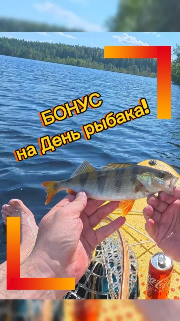 Мормышил плотву, а клюнул бонус!