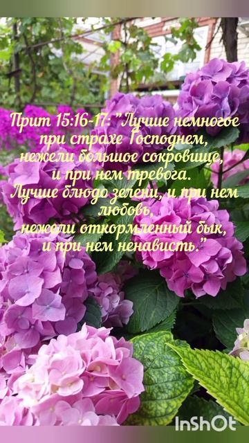 Доброе утро!