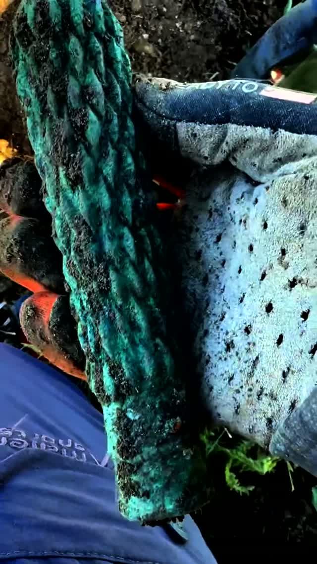 Необычная находка