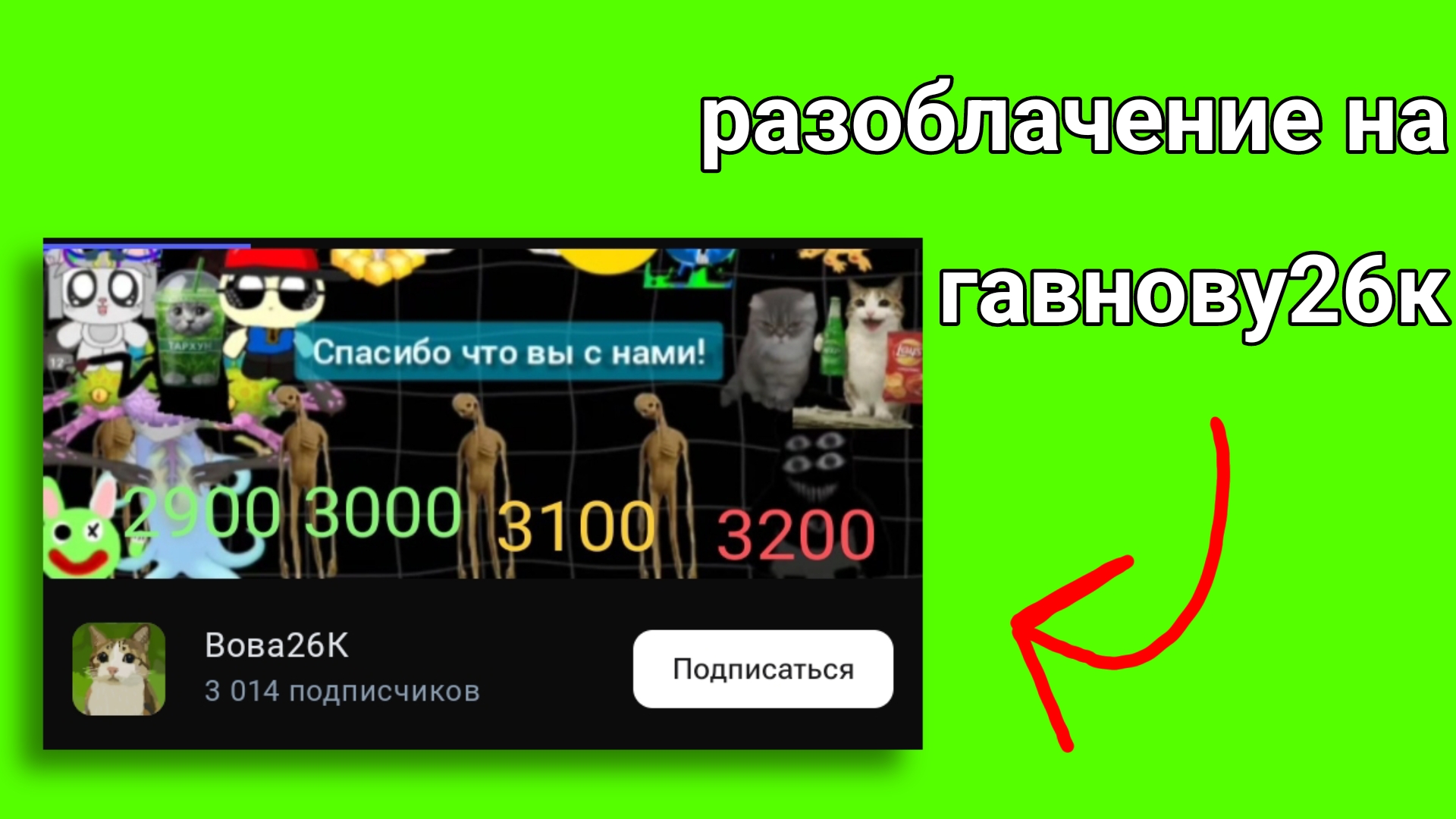 разоблачение на Вову 26к пазор рутуба чг чикен Ган майнкрафт борлокс женщины разоблочение а