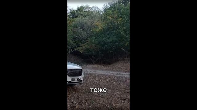 Про Haval M6 и Haval H7