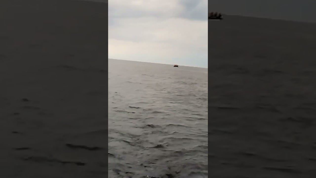 Когда была рассылка смс что пошёл судак... карелия ладога рыбалка