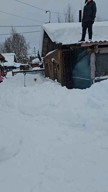 Assassins Creed Россия