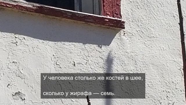 уникальный обзор реальности 9