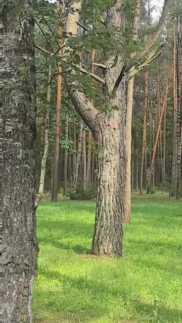 Жить хорошо. И интересно. 😄👍👍👋