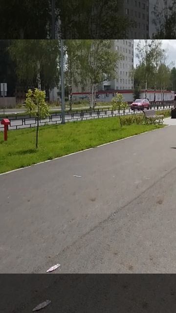 Июль, жара, весёлый смех! На прогулку с нами приглашаем всех! (1часть)