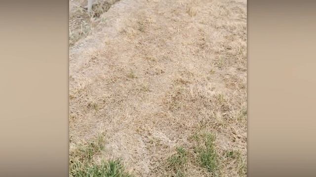 САМЫЕ ЭПИЧНЫЕ ФЕЙЛЫ НА БАТУТАХ И НАДУВНЫХ АТТРАКЦИОНАХ, СНЯТЫЕ НА КАМЕРУ