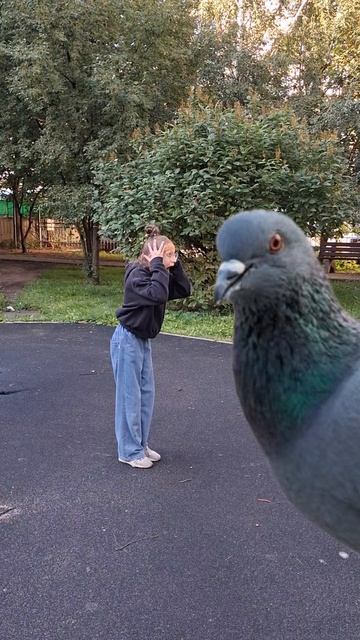 нежданчик