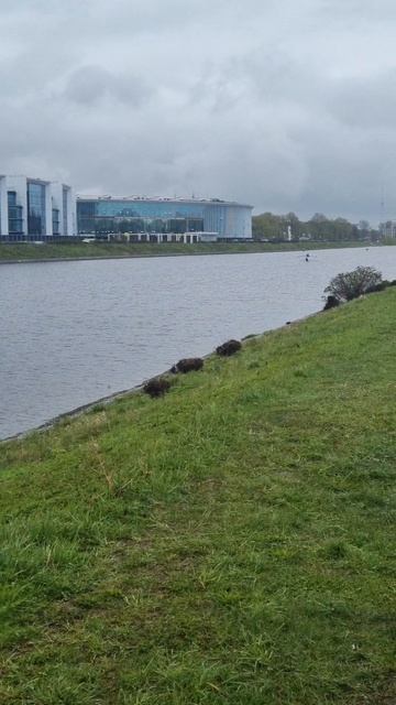 Обзор береговой полосы Крестовского острова