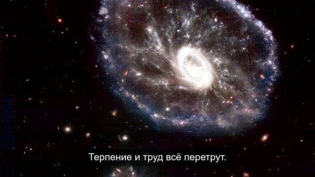 уникальный обзор реальности 11