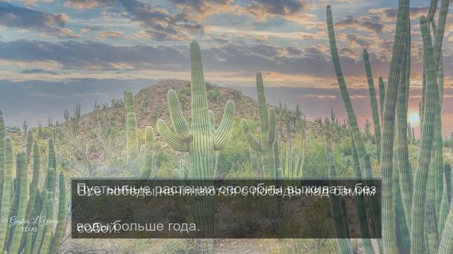 уникальный обзор реальности 5