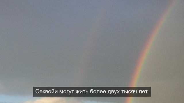 уникальный обзор реальности 8