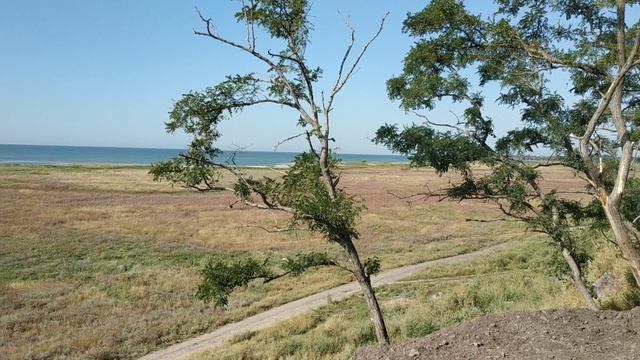 Таганрог