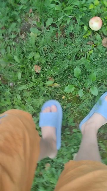 первое видео