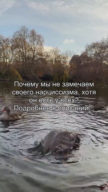 Почему мы не замечаем
своего нарциссизма хотя
он есть у всех?
Подробнее в описании...
